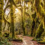 Hoh Rain Forest Visitor Center