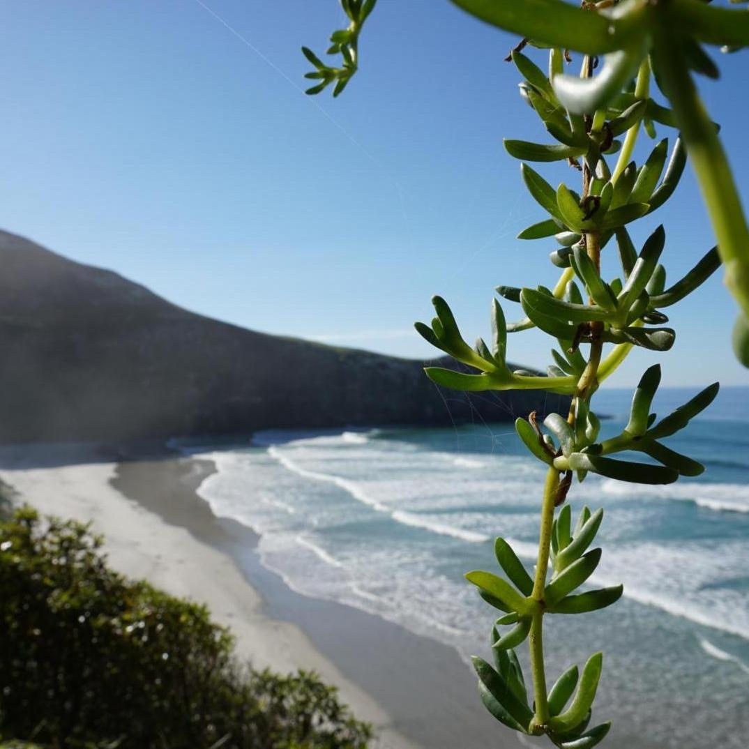 Untouched beach of New Zealand