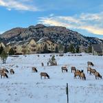 Explore Estes Park in March
