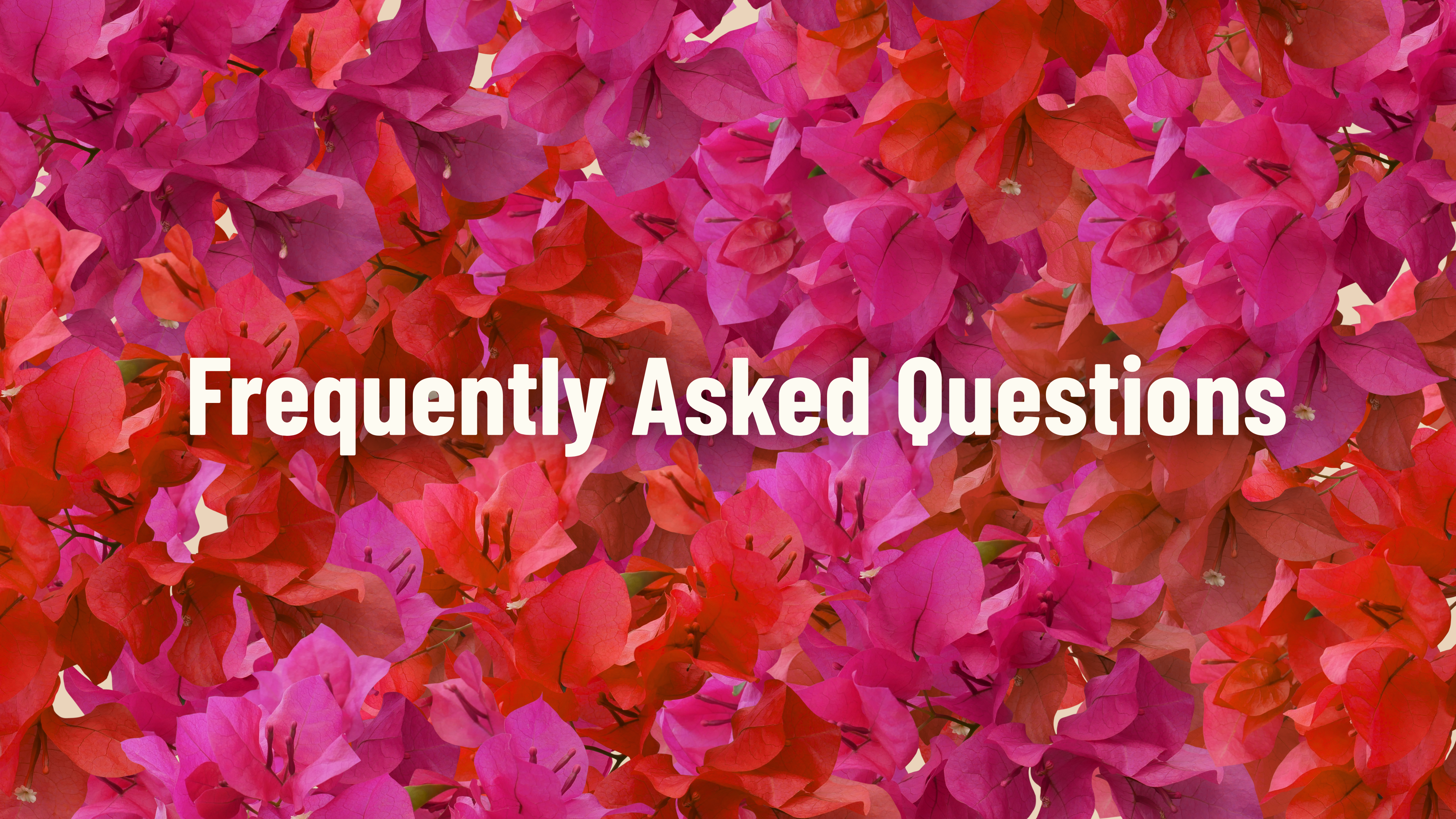 The Wedding Website of Alexis Cedeño and Ricardo Padilla