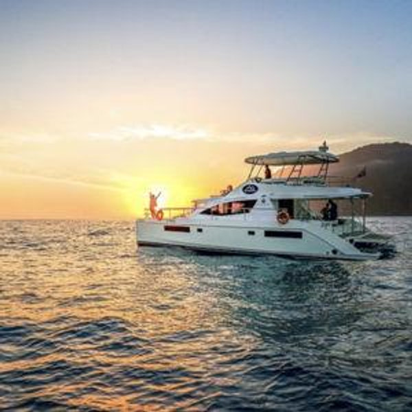 Luxury Whale Watching Tour