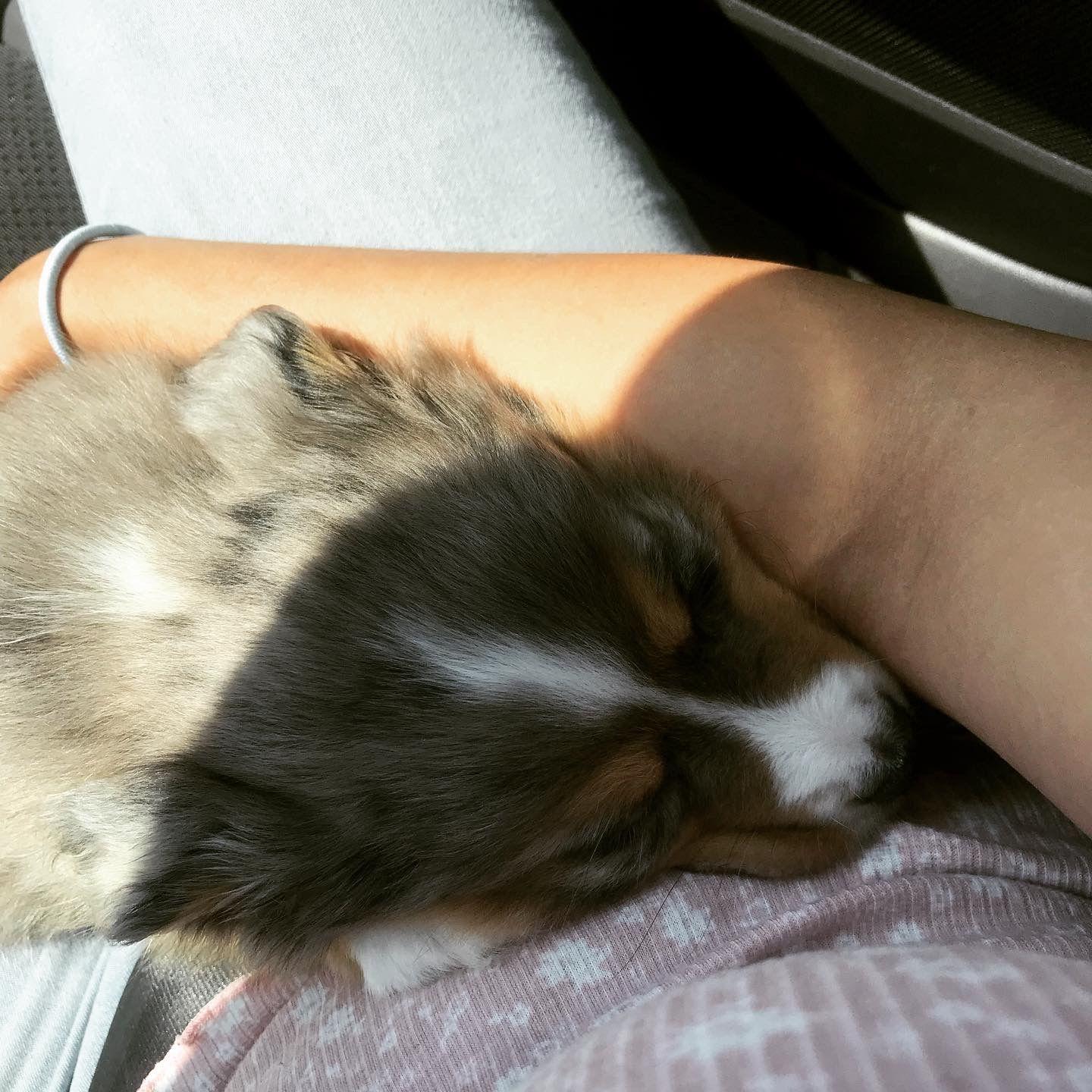 the day we brought Alex Home