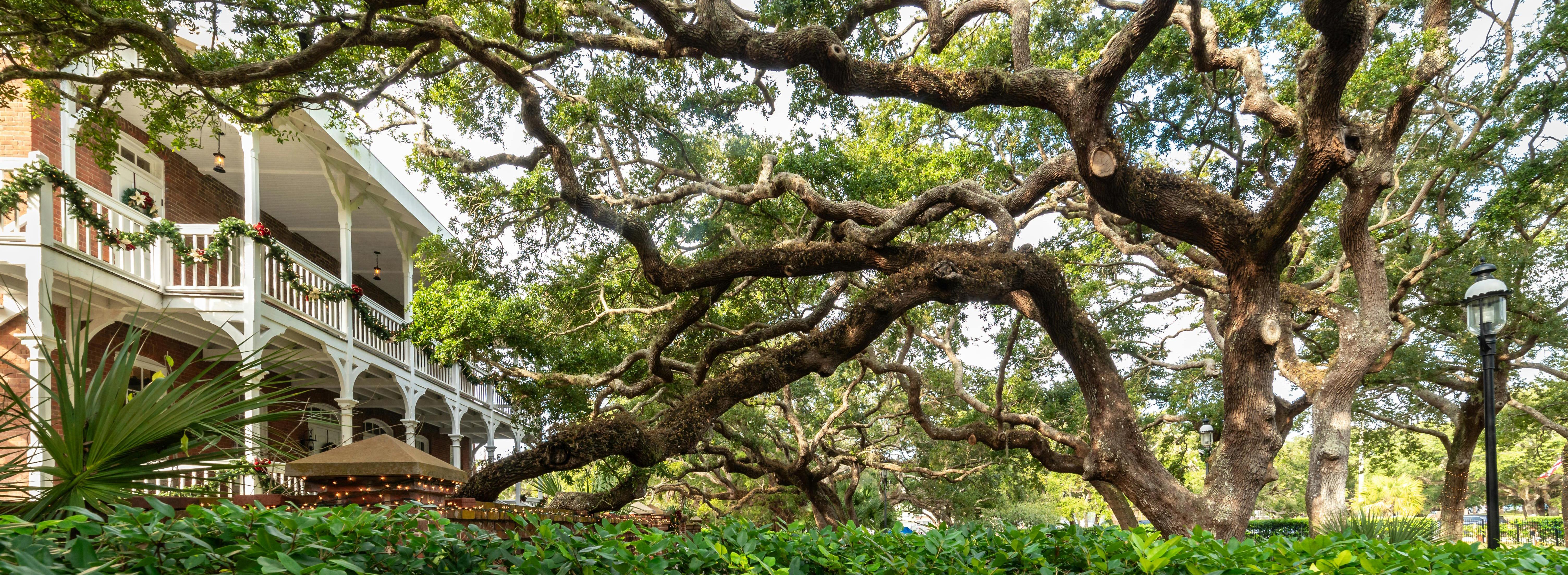 The Wedding Website of Binh Siu and Nicolas Scheffer