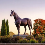 Kentucky Horse Park