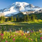 Mount Rainier National Park