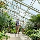 Foellinger-Freimann Botanical Conservatory