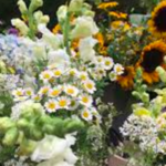 Block Island Farmer's Market