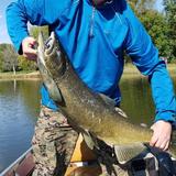 Lake Winnebago - The Fish are Biting!