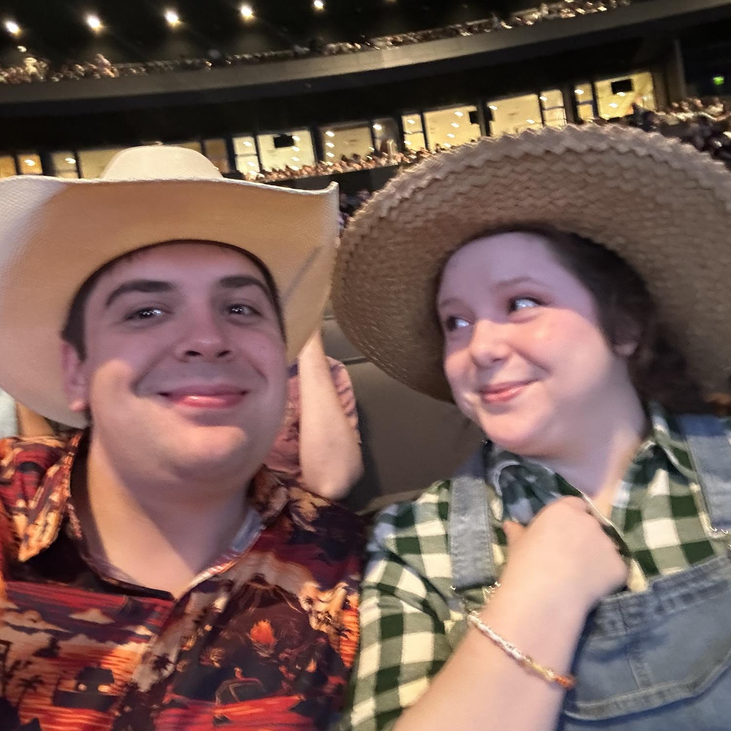 Stardew Valley concert 2025