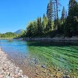 Flathead National Forest