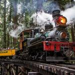 Roaring Camp