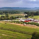 B.J. Reece Orchards