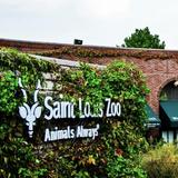 Saint Louis Zoo