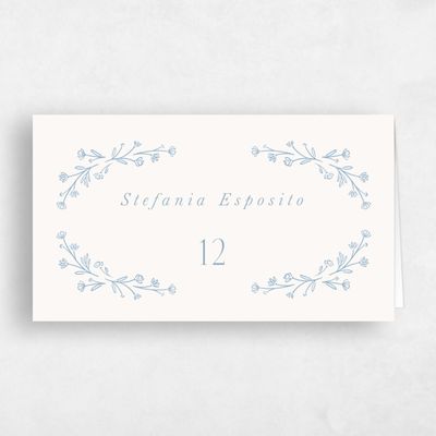 Blue Simple Wedding Place Card - Nydia