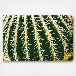 Cassandra Eldridge - Cactus Canvas Art