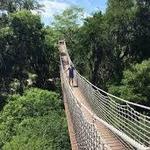Santa Ana National Wildlife Refuge