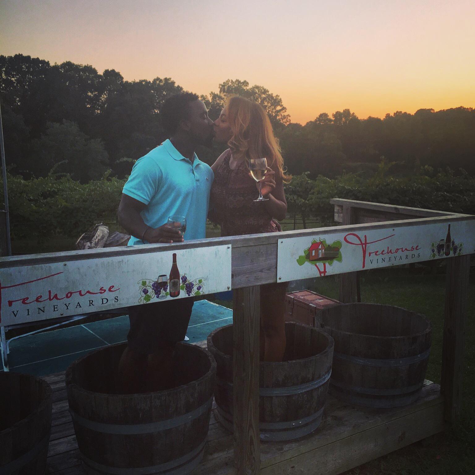 Treehouse Vineyards 2016
