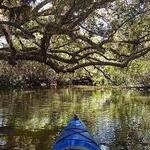 Kayaking