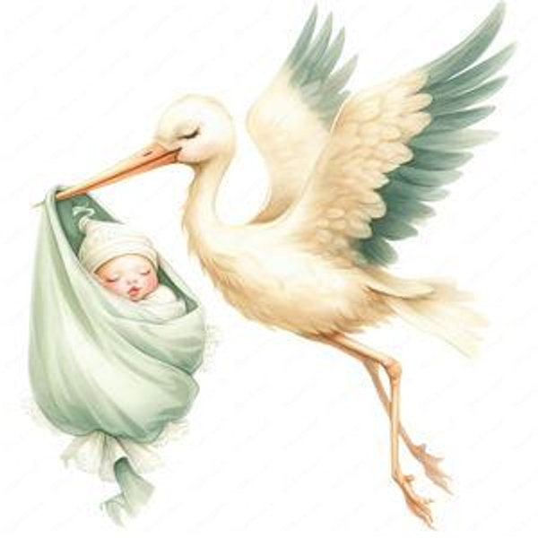 Future Baby Fund