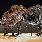 Houston Museum of Natural Science