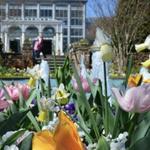 Lewis Ginter Botanical Garden