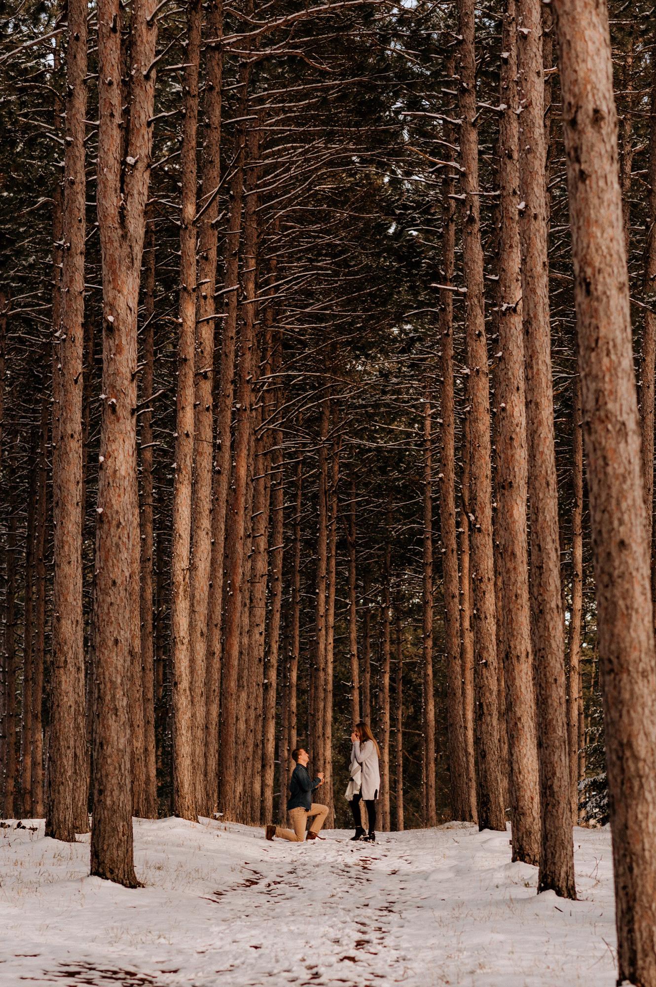 The proposal (Jmark Photography)