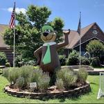 Yogi Bear's Jellystone Park