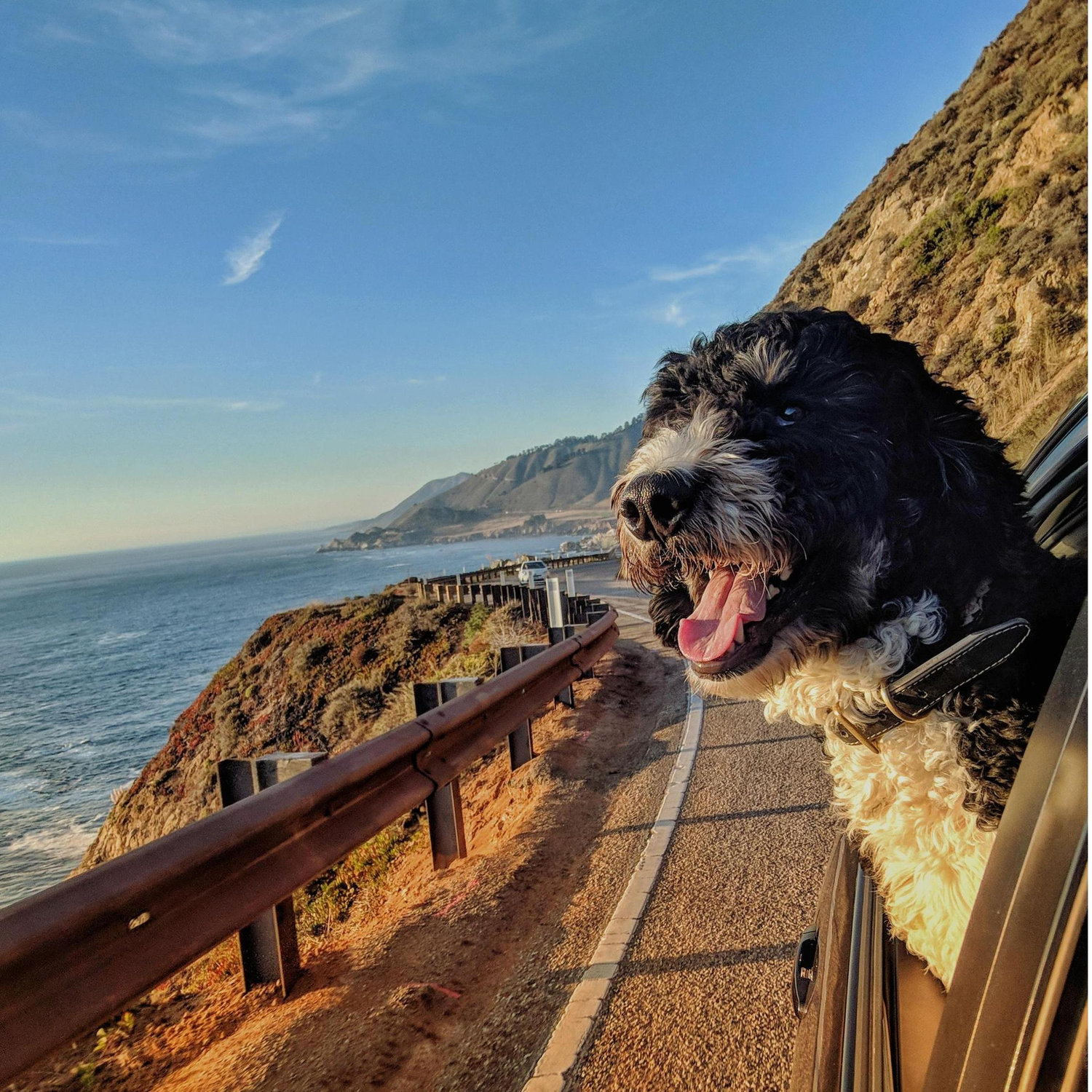 Coastal Highway 1 at sunset, a drive you can't miss!