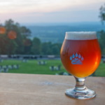 Bear Chase Brewing Company