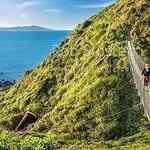 Paekakariki to Pukerua Bay Escarpment Track