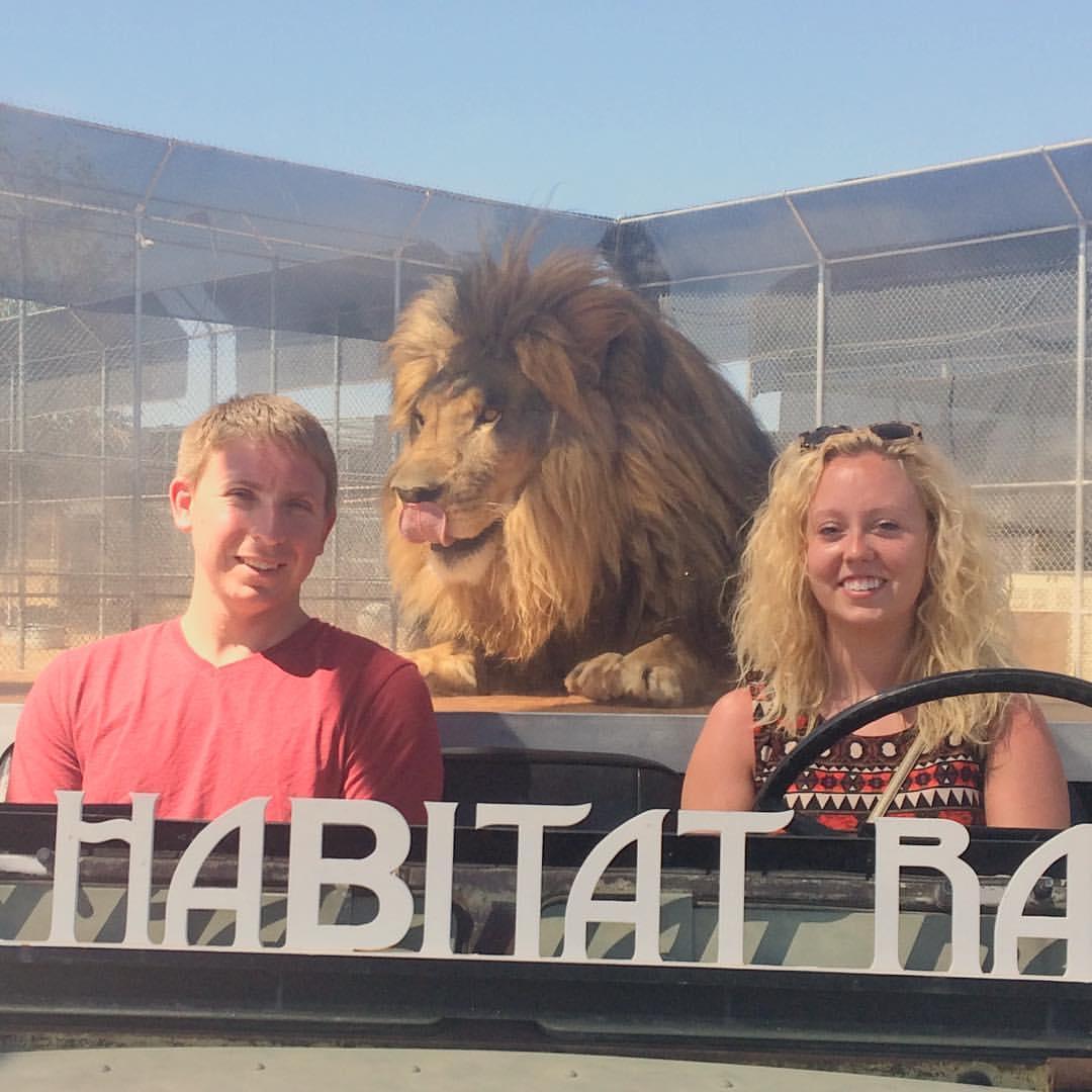 On our first vacation to Las Vegas we took a tour of the Lion Habitat Ranch! and met the MGM lions!