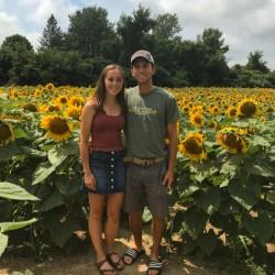 Sunflower Fields - Summer 2018
