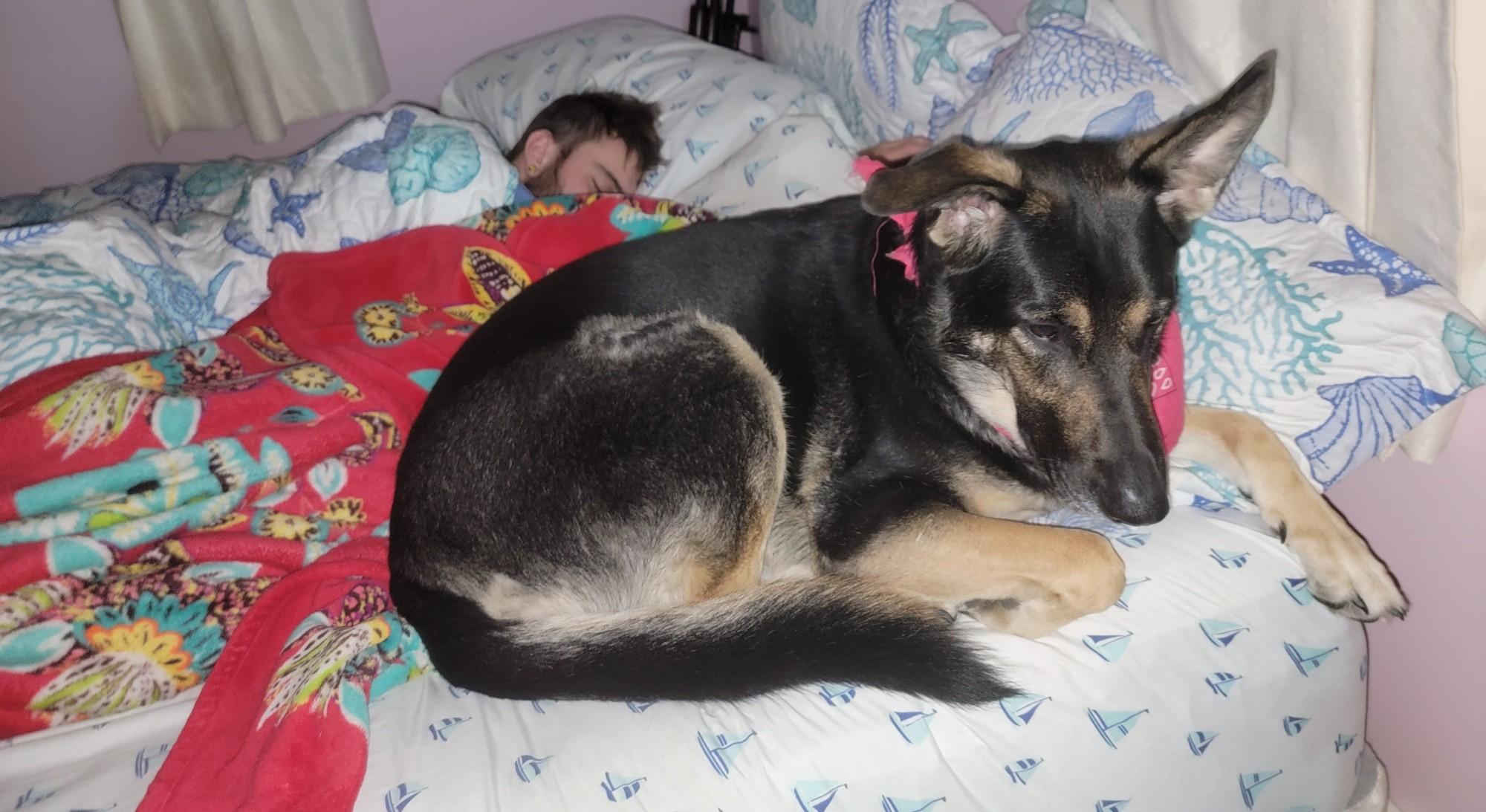 The Wedding Website of Devon Fairchild and Dustin Keiper