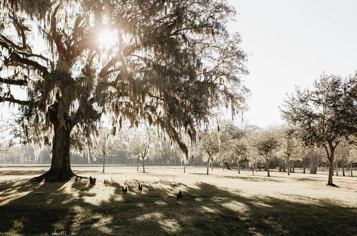The Wedding Website of Abigail Warnken and Clayton Wolfe