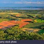The Lookoff