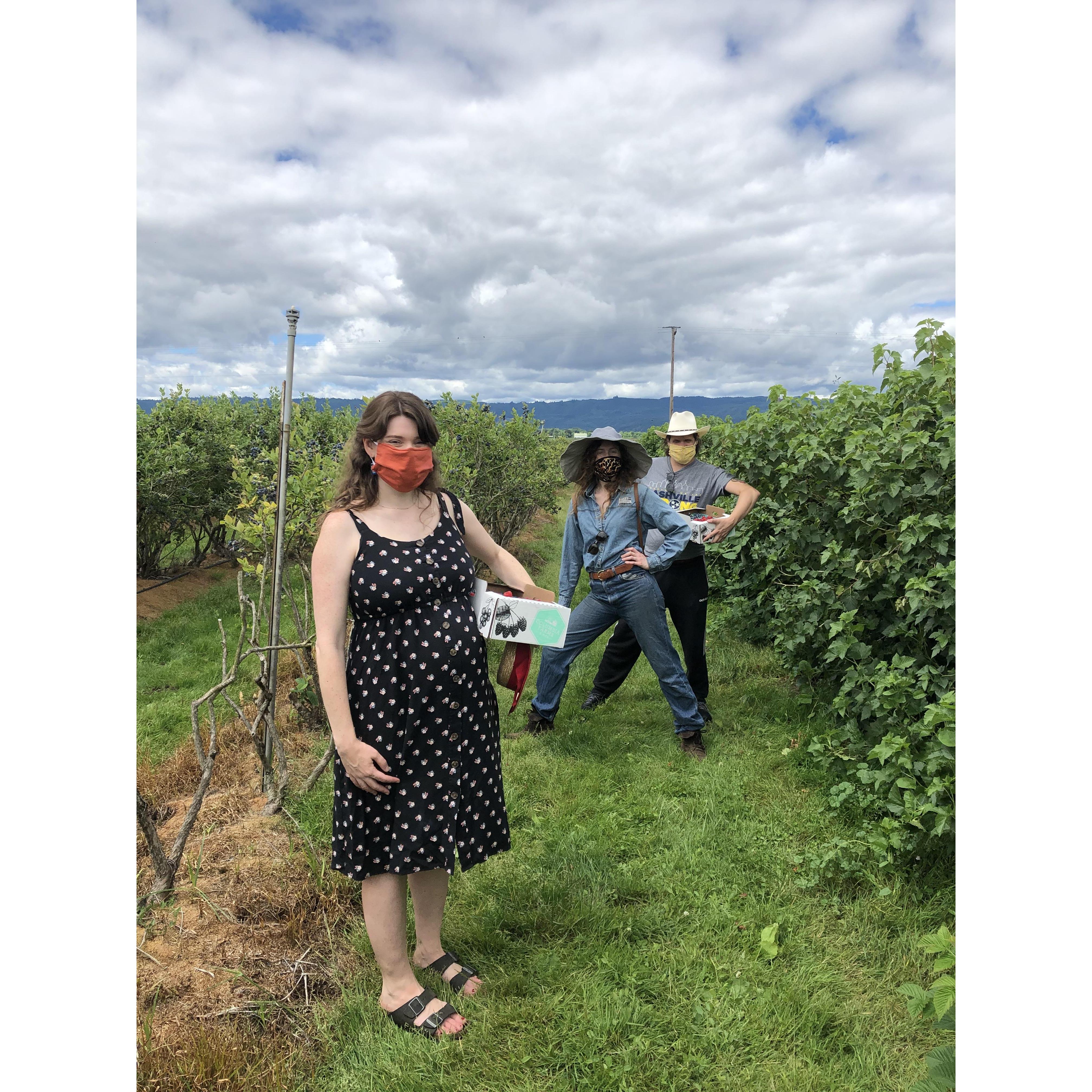 Berry picking in 2020