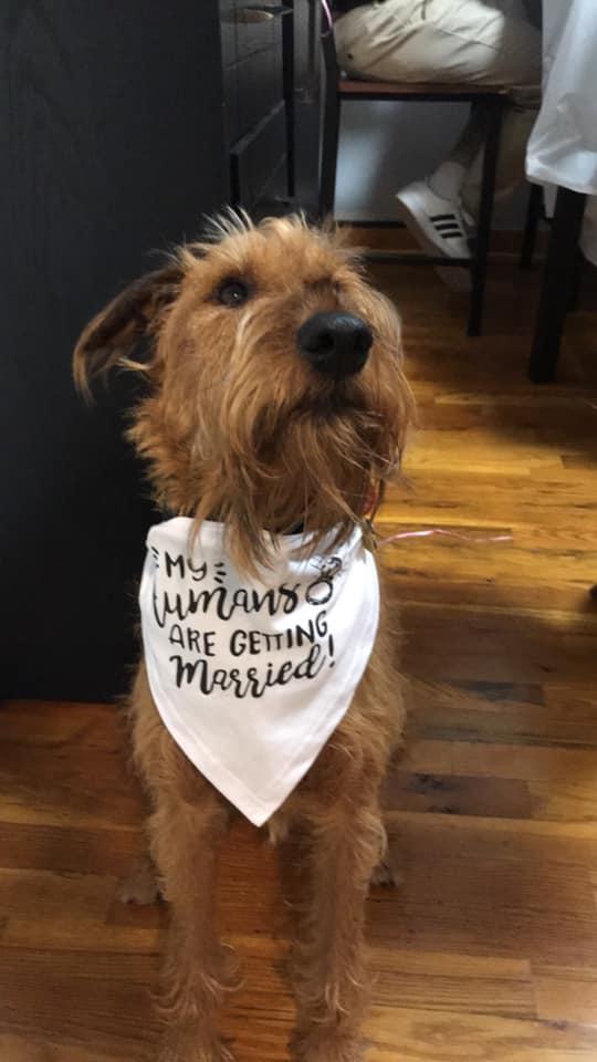 The Wedding Website of Samantha Iannuzzi and Ricky Wahmann