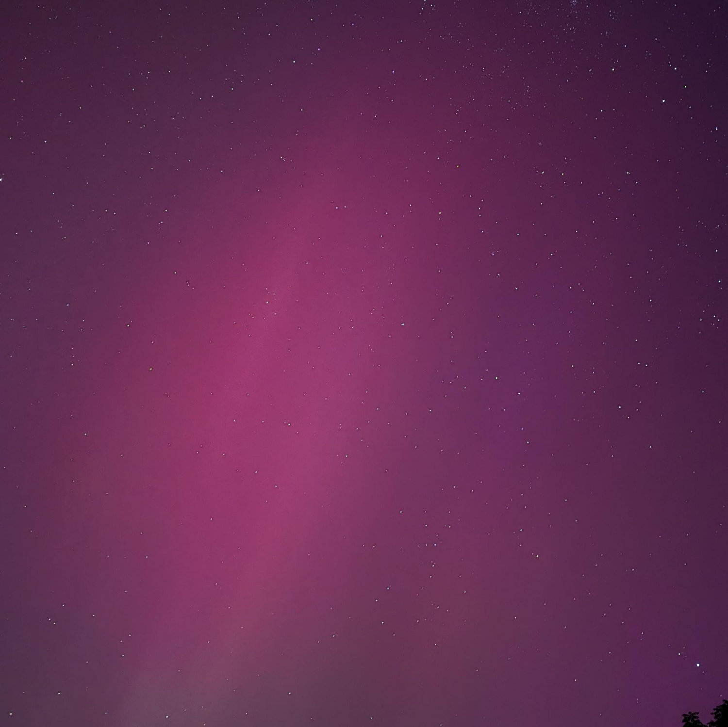 We watched the stars all Summer long and also got to experience the Aurora Borealis together for the first time