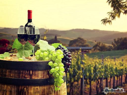 The Wedding Website of Elvio Gramignano and Giulia Carli