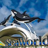 SeaWorld San Diego