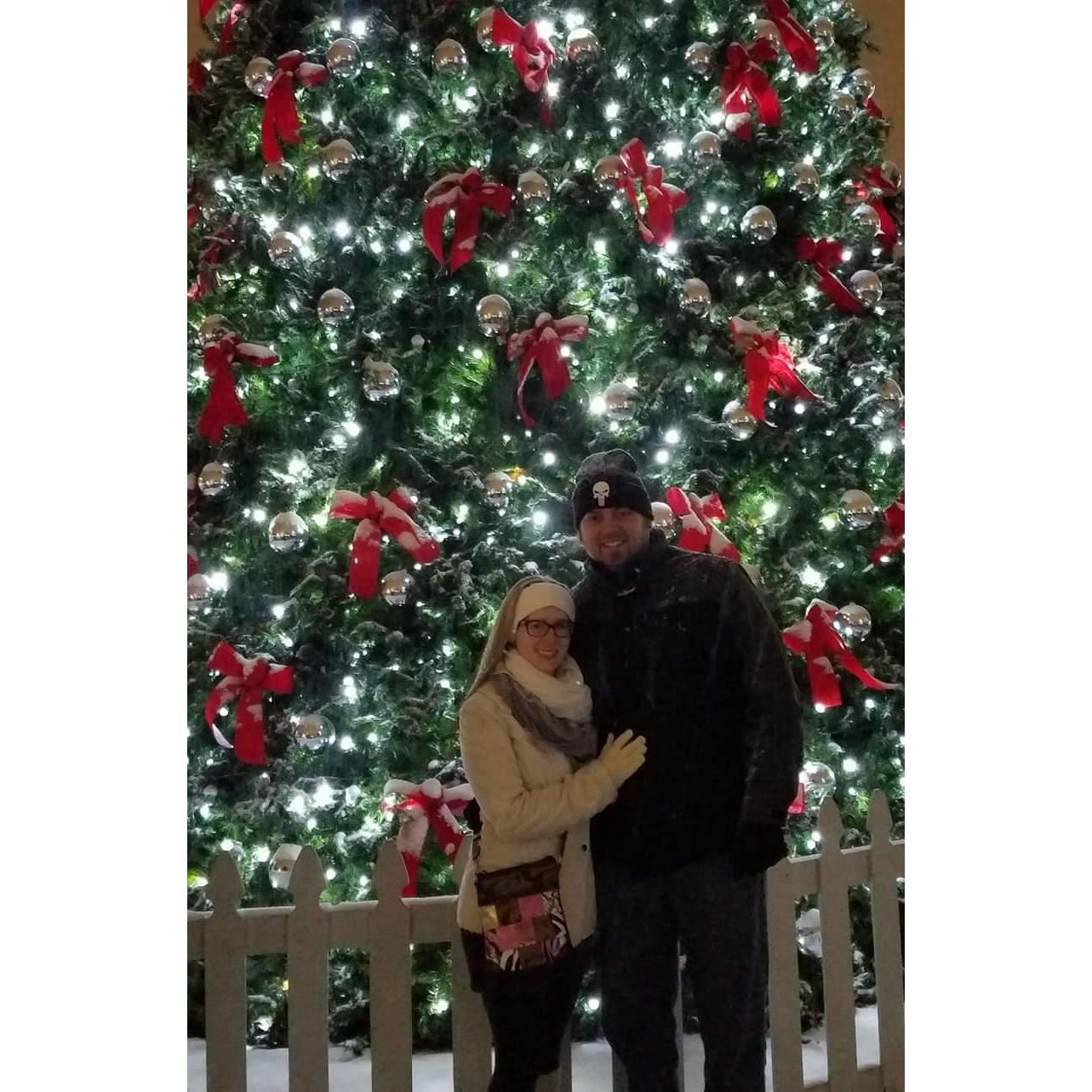 Festival of Lights 🎄