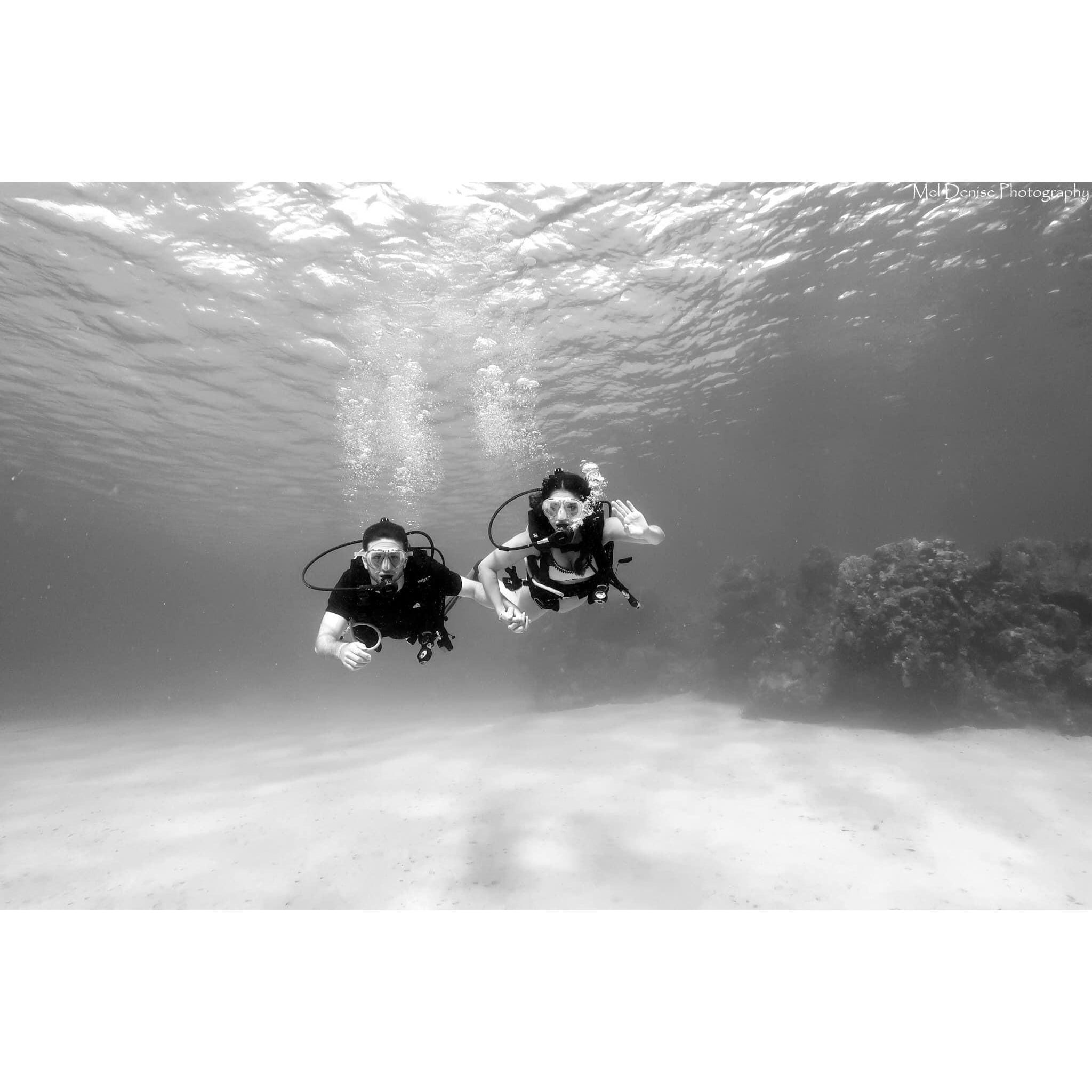 Scuba diving in Roatan, 2018