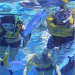 Swim with our Fish