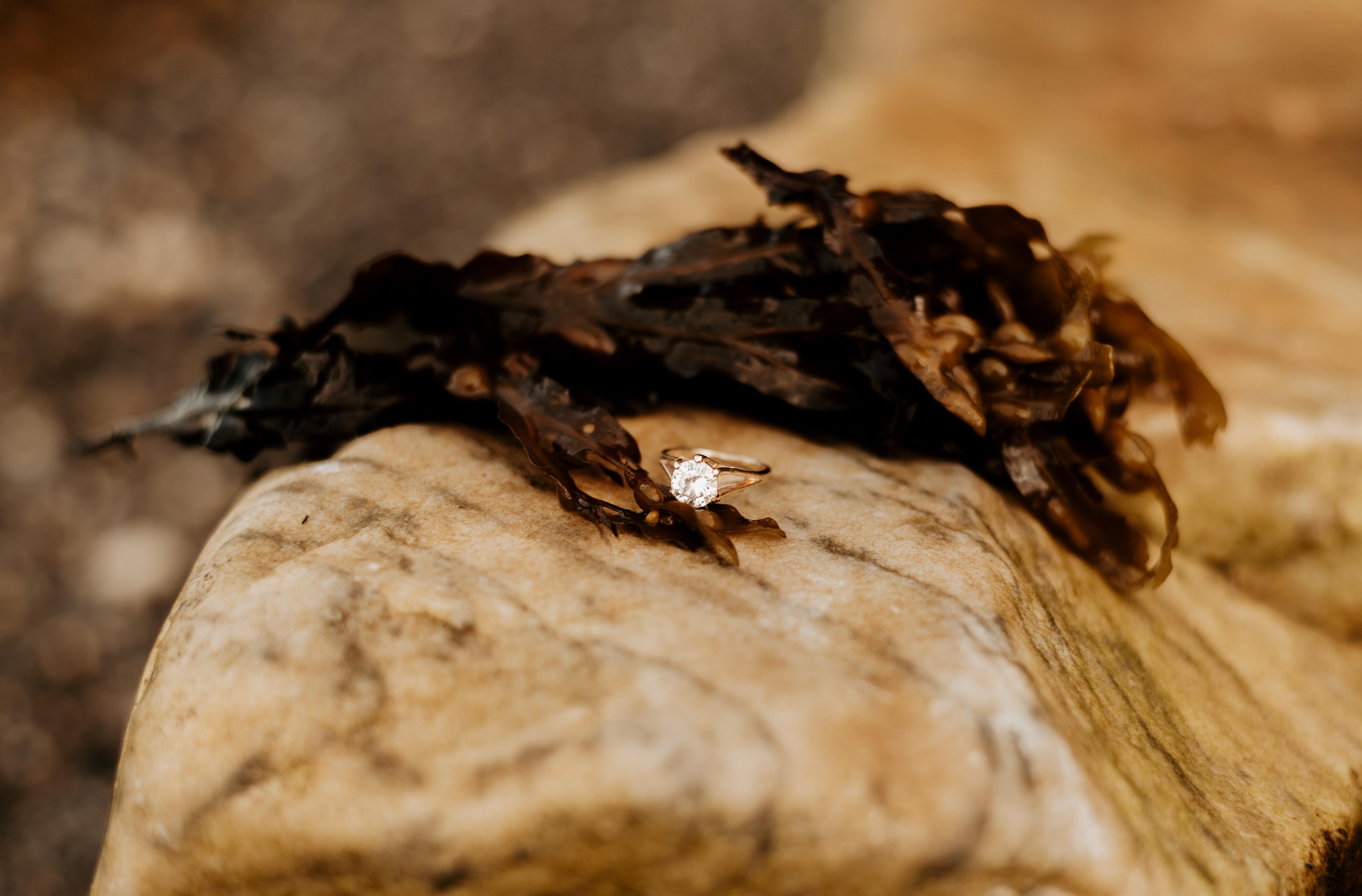 The Wedding Website of James Tooley and Blakelee Jordan