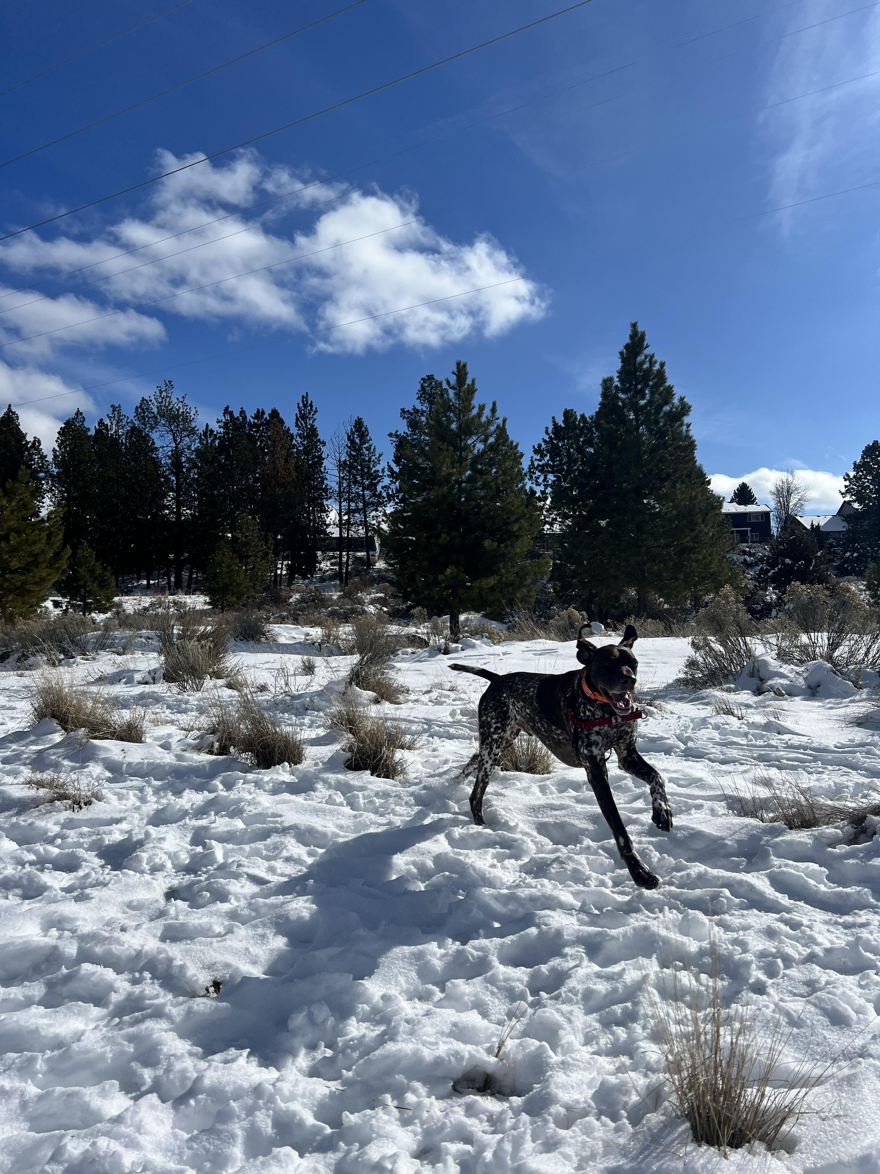 The Wedding Website of Megan Johnson and Dean Barda