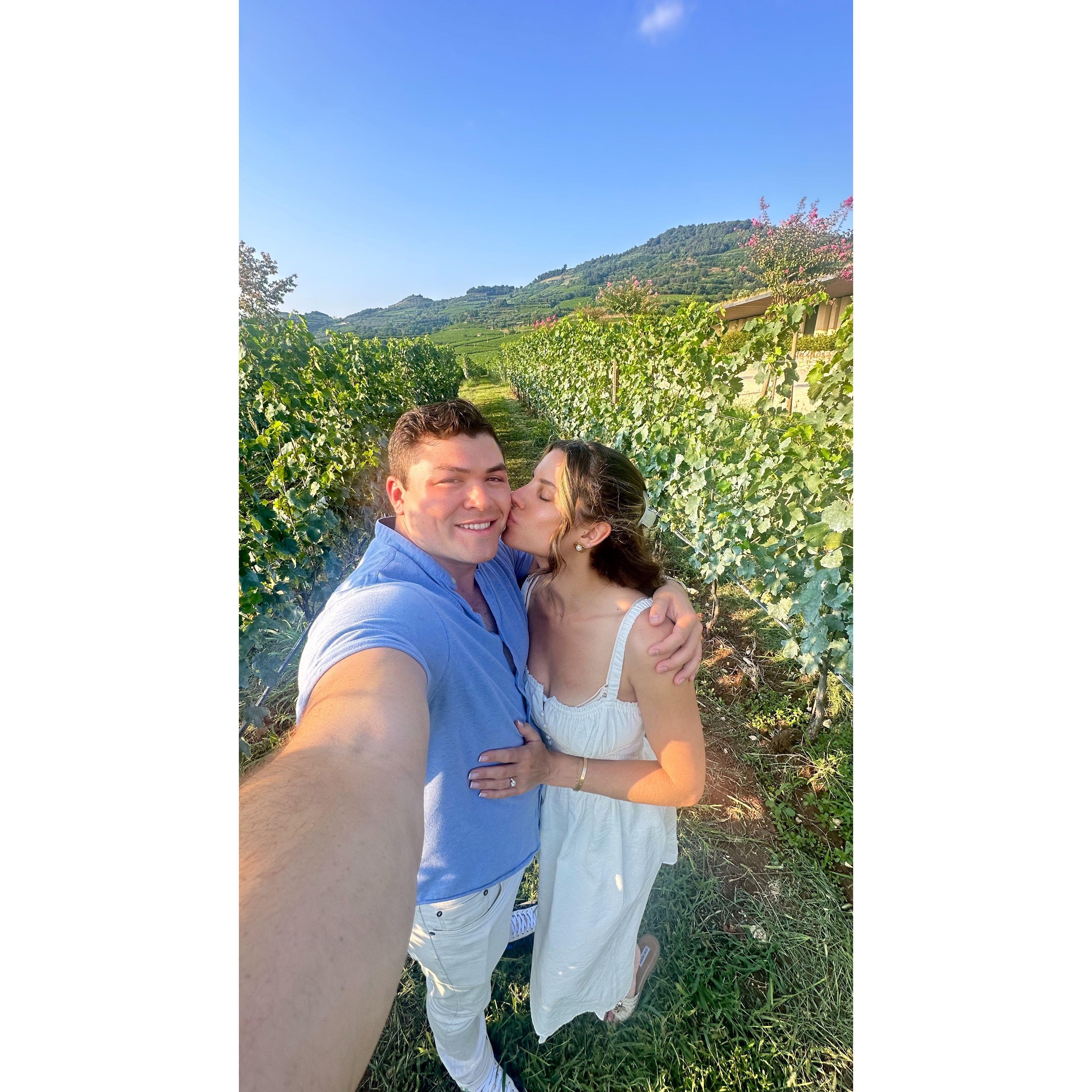 8/20/24 A stop at Pieropan — one of our favorite vineyards in Verona