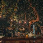 Get the Gringo Burger