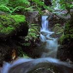 Point Defiance Park