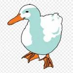White Duck Taco Shop
