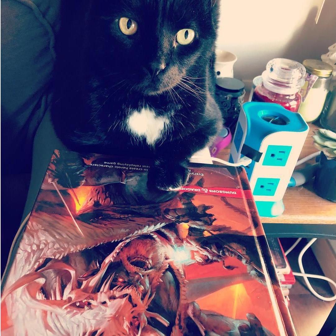 We love our cat and D&D.
